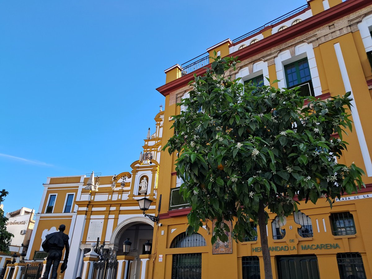 Si je pouvais,  je vous enverrai les odeurs de Séville.  Les orangers parfument l’air