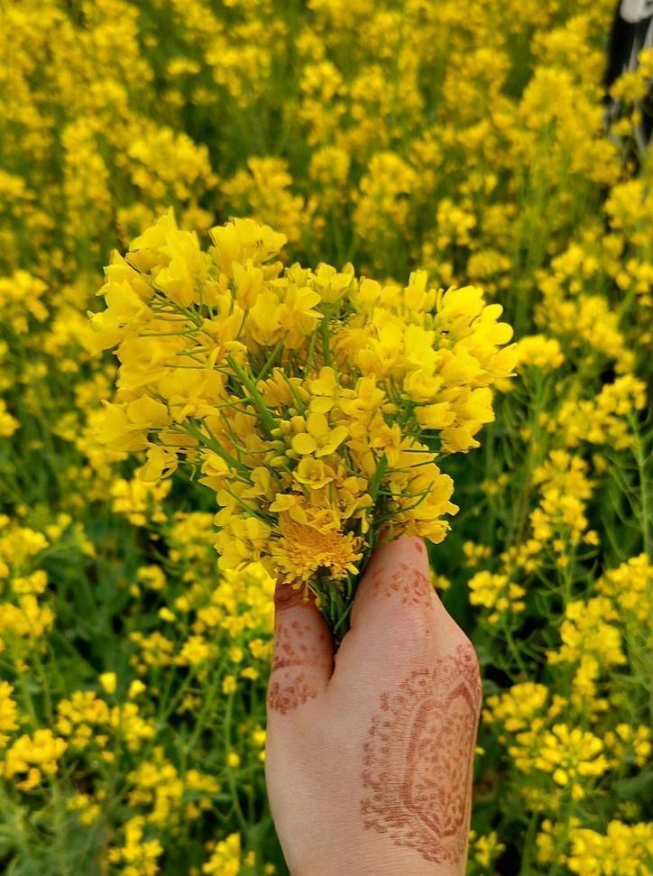 aymann.^᪲᪲᪲ tweet media