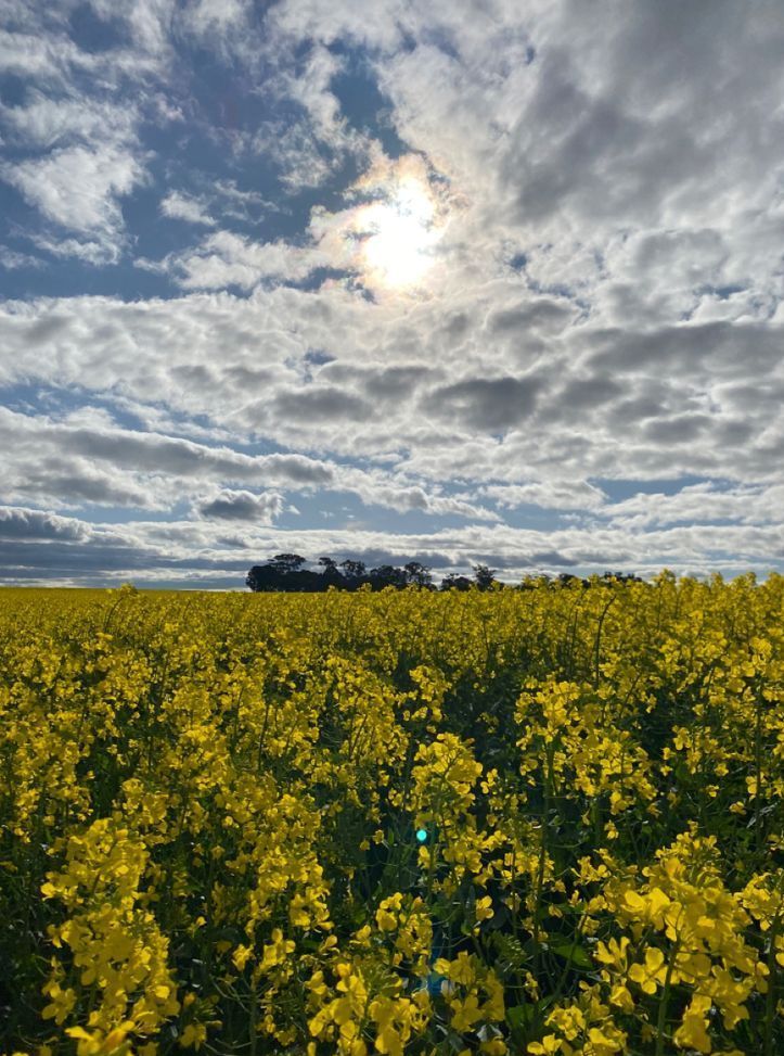 aymann.^᪲᪲᪲ tweet media