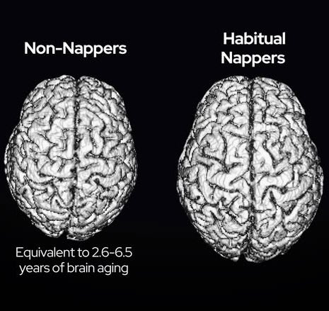 All day Astronomy tweet media