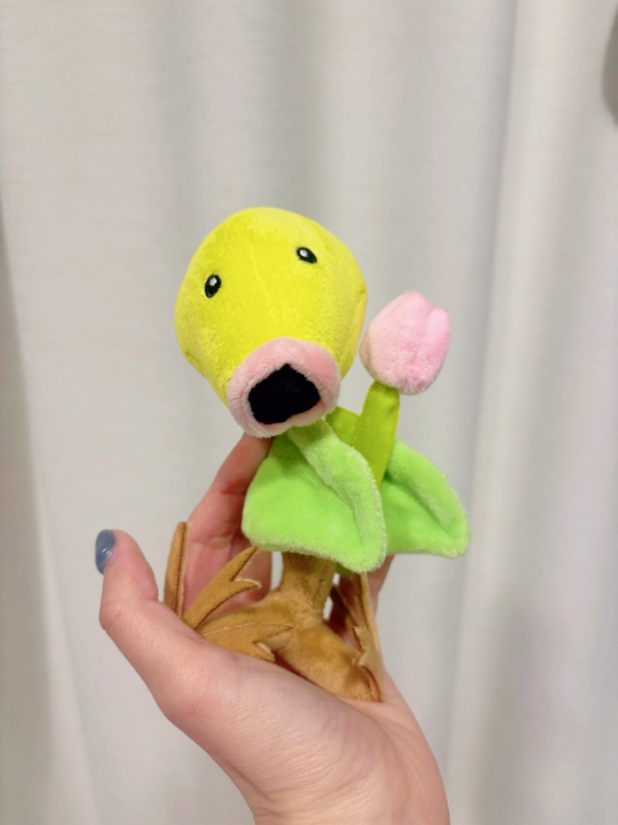 マダ子 tweet media