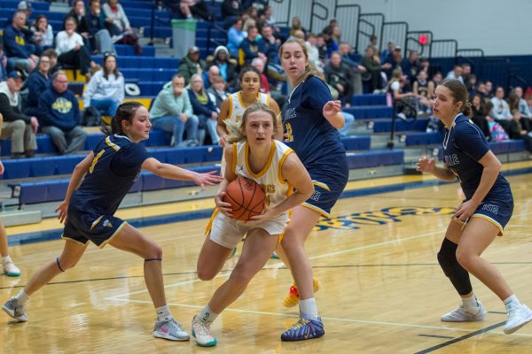 Mark Perez-Krywany tweet media