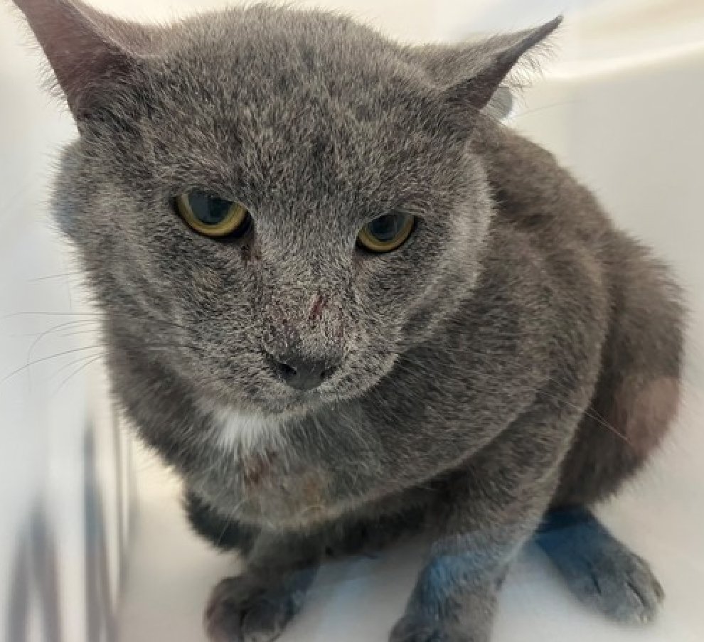 Jack5928 tweet media