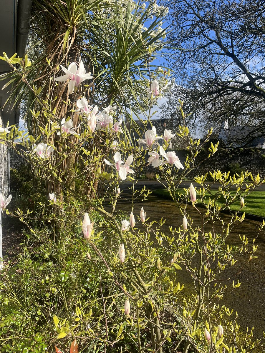 Bishop Denis Nulty tweet media