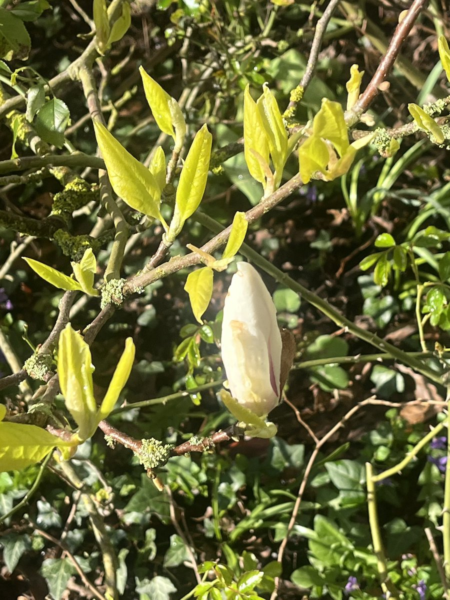 Bishop Denis Nulty tweet media