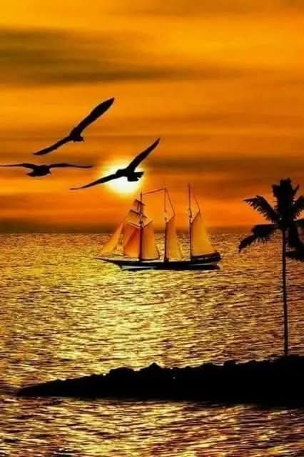 BhairavaAugust8's tweet image. Time to Set Sail!
Heading to Fiji! 

#LovinLife