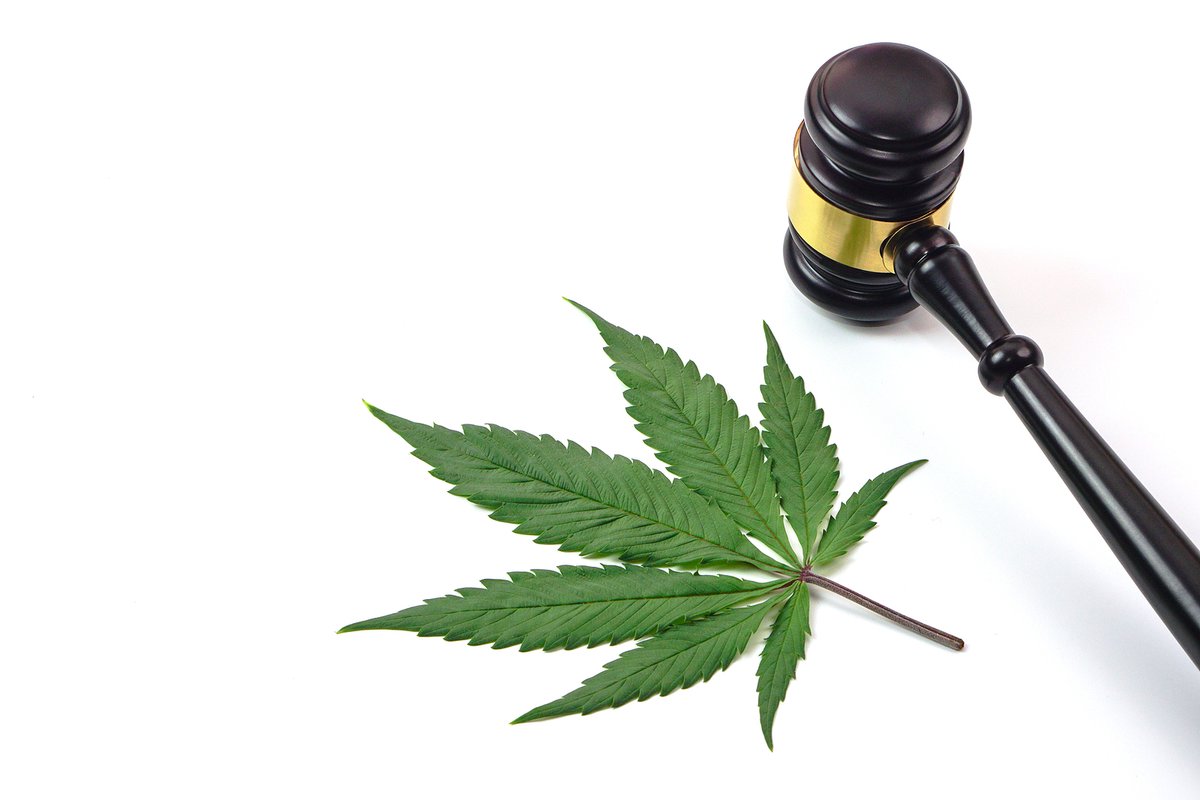 natlawreview's tweet image. Distressed Cannabis Sale-Leaseback Companies- What Investors and Operators Need to Know natlawreview.com/article/distre… #cannabis #lease #investor #drug @BlankRomeLLP