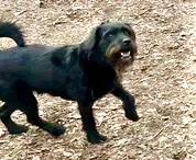 Keith Olbermann tweet media