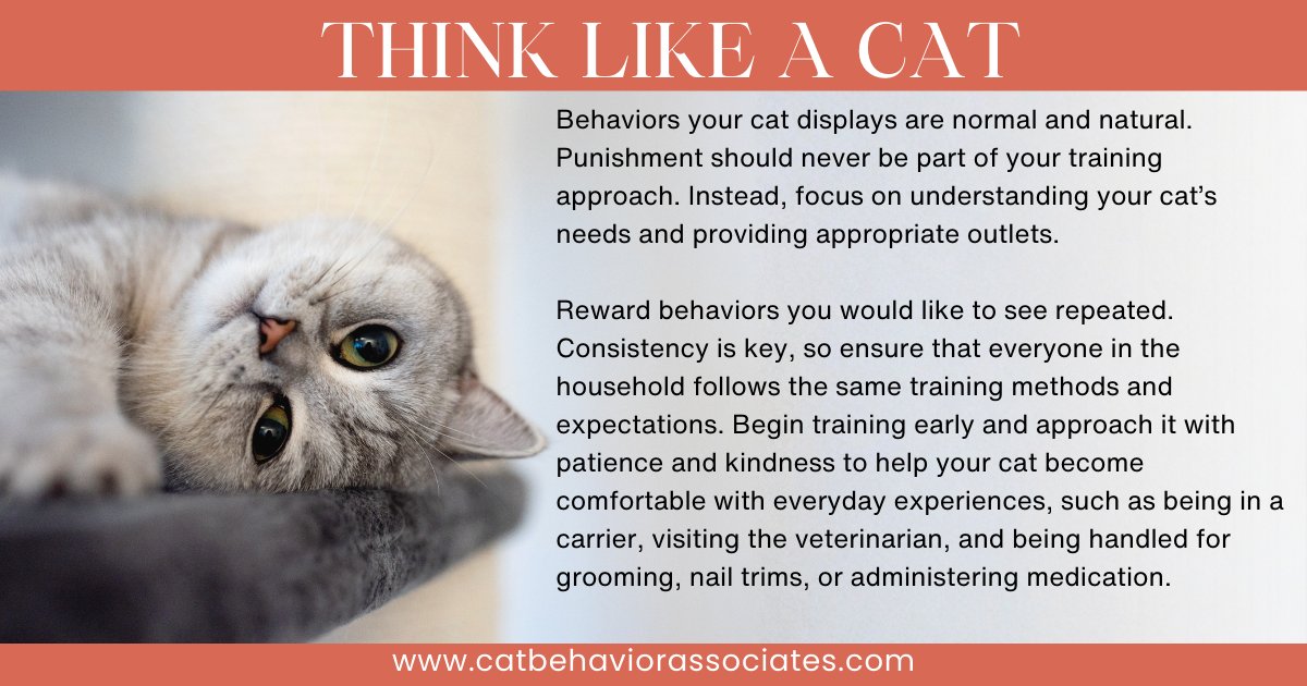 Pam Johnson-Bennett tweet media