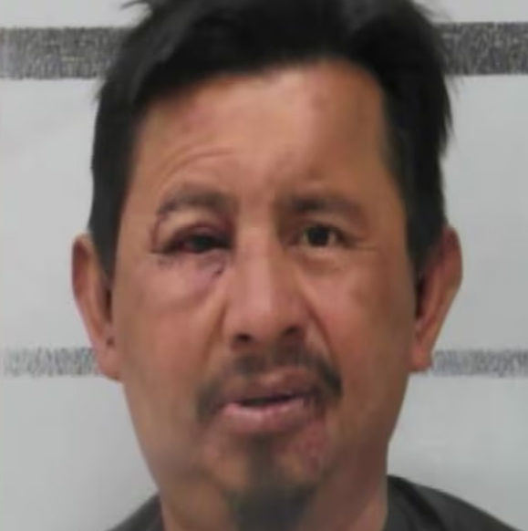 Libs of TikTok tweet media