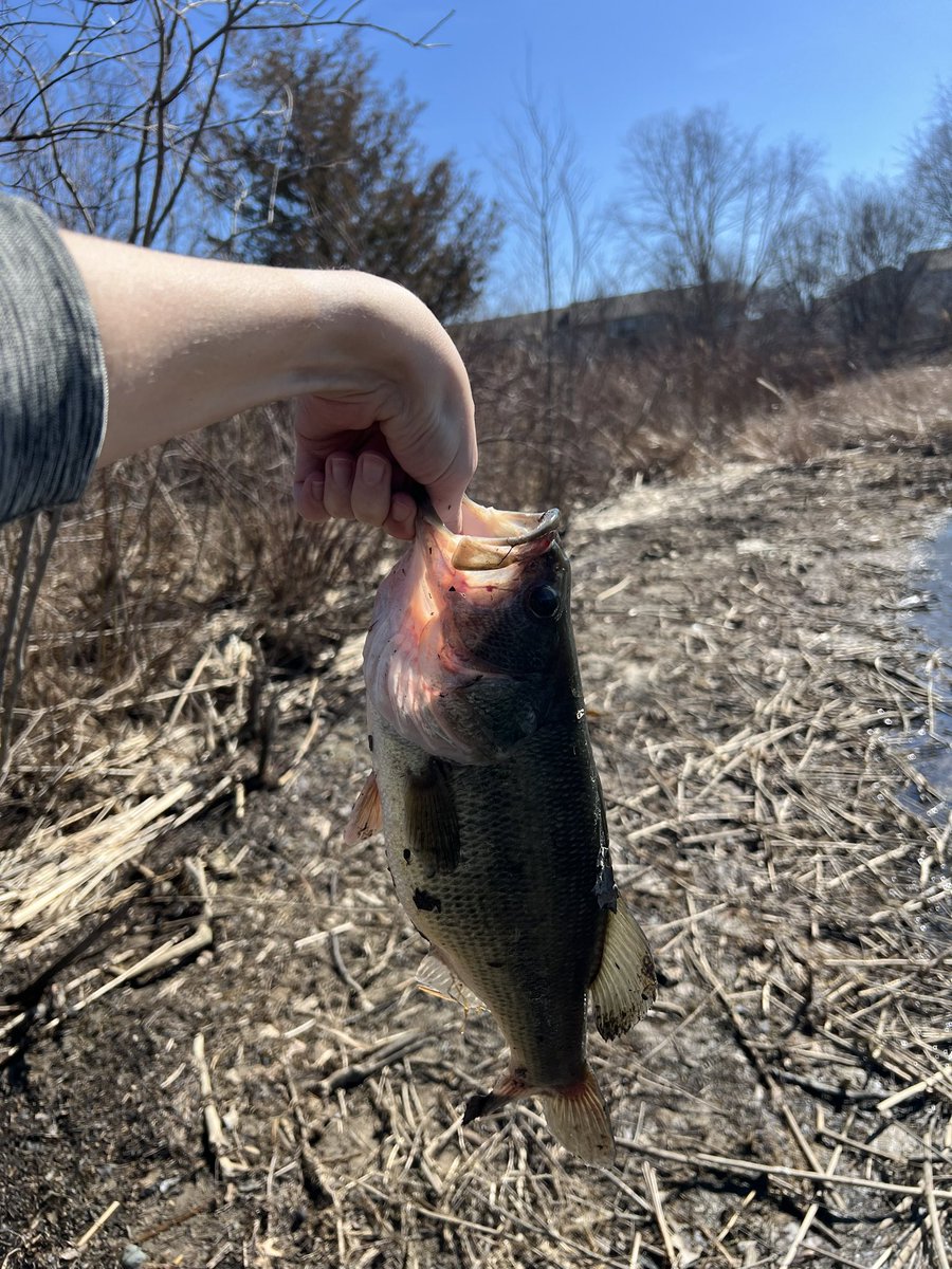 BlueDemonTime's tweet photo. Bass fishing in March call that Spawn Camping https://t.co/AoV2ORfcRI