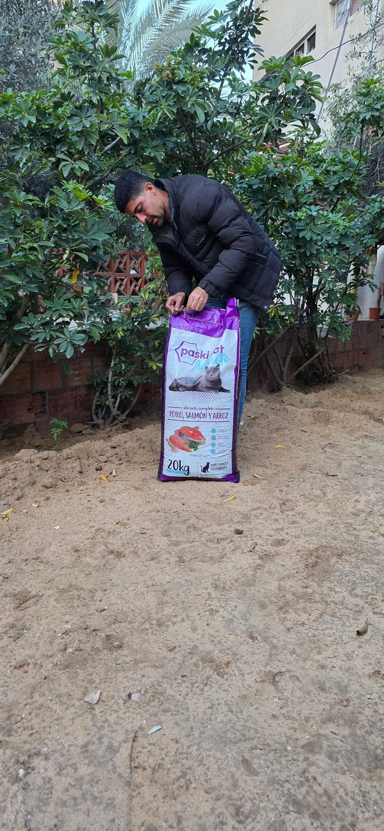 🐾help Animal Gaza🐾 tweet media