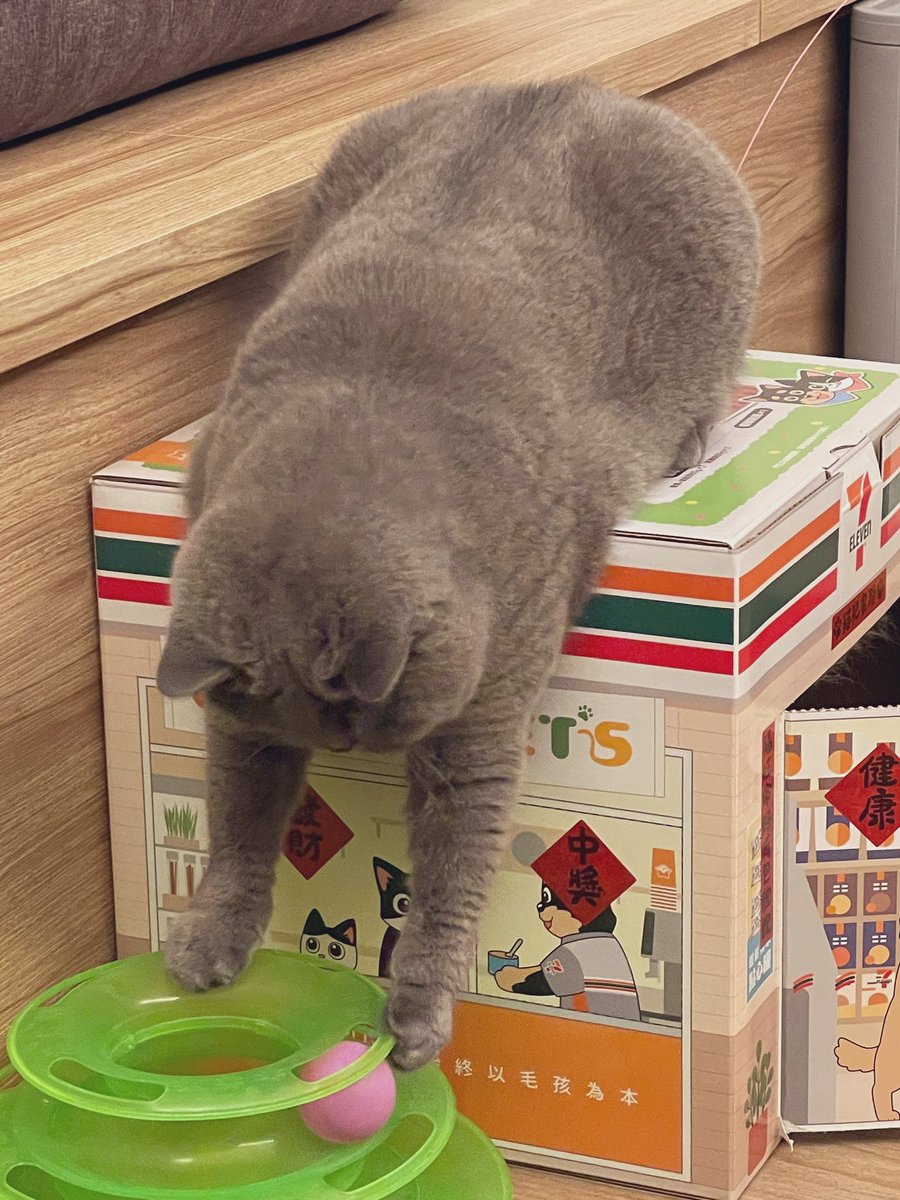 INES｜國民不可愛 tweet media