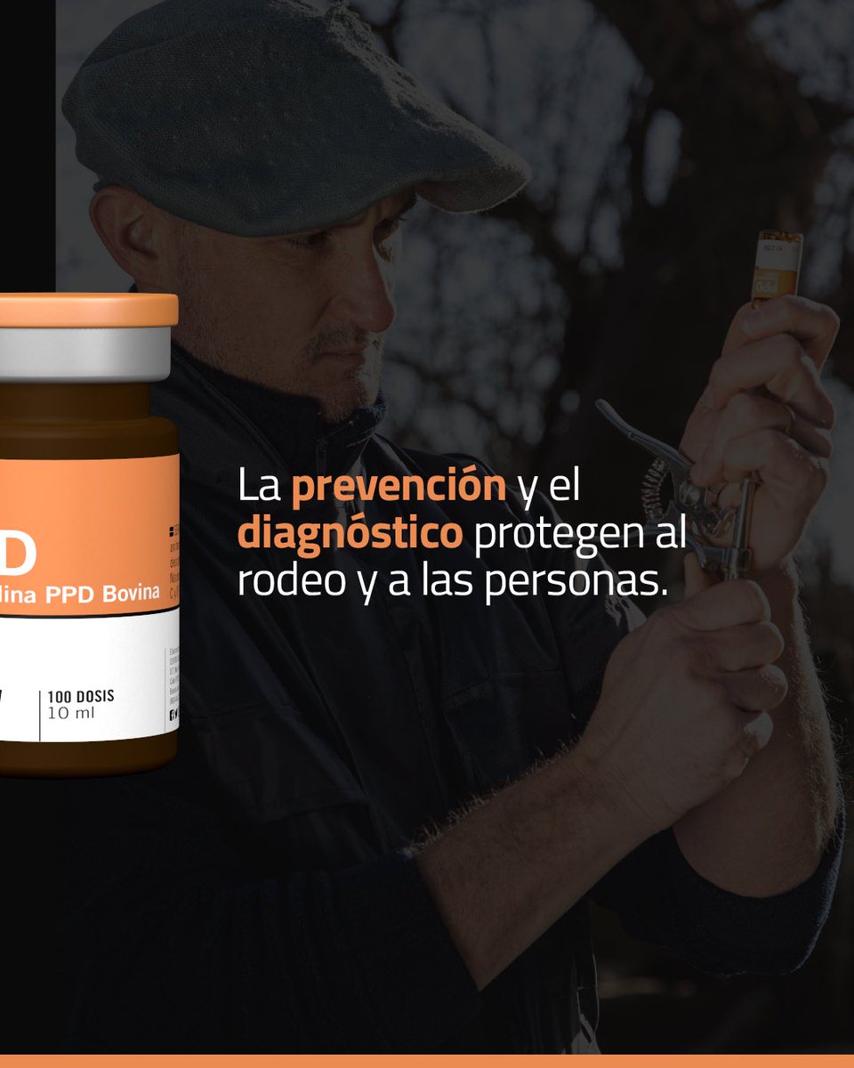 Laboratorio CDV tweet media