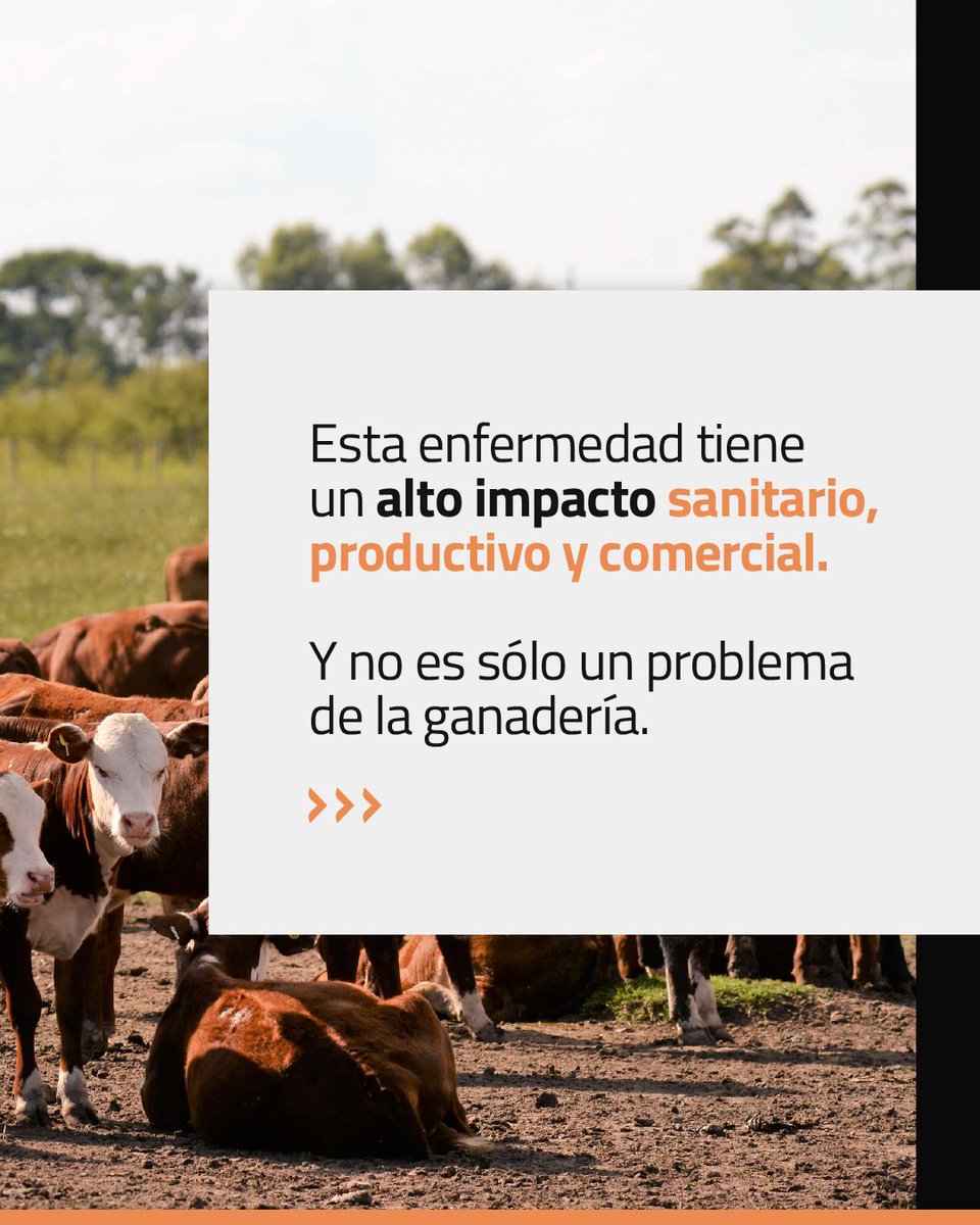 Laboratorio CDV tweet media