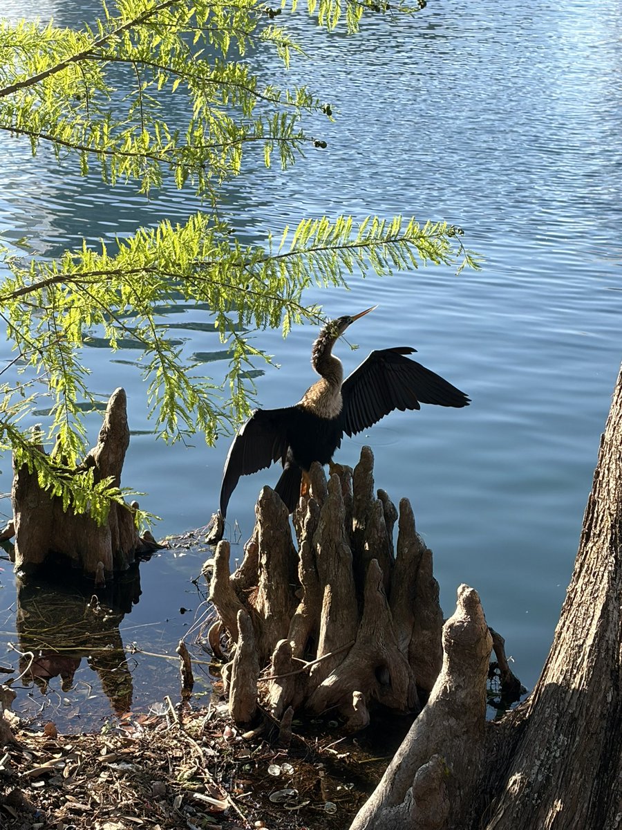 BAL0RGAZE's tweet photo. // random post because I’ve been busy af and life has taken over me as of late.

I am still alive though. I think. I love this picture I took on Sunday. https://t.co/52a9aRw4P0