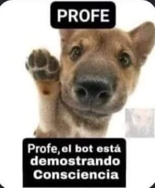 Dillom Bot tweet media