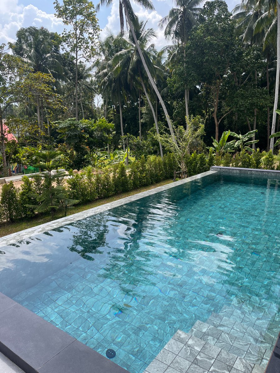 FreiheitsMaximalist tweet media