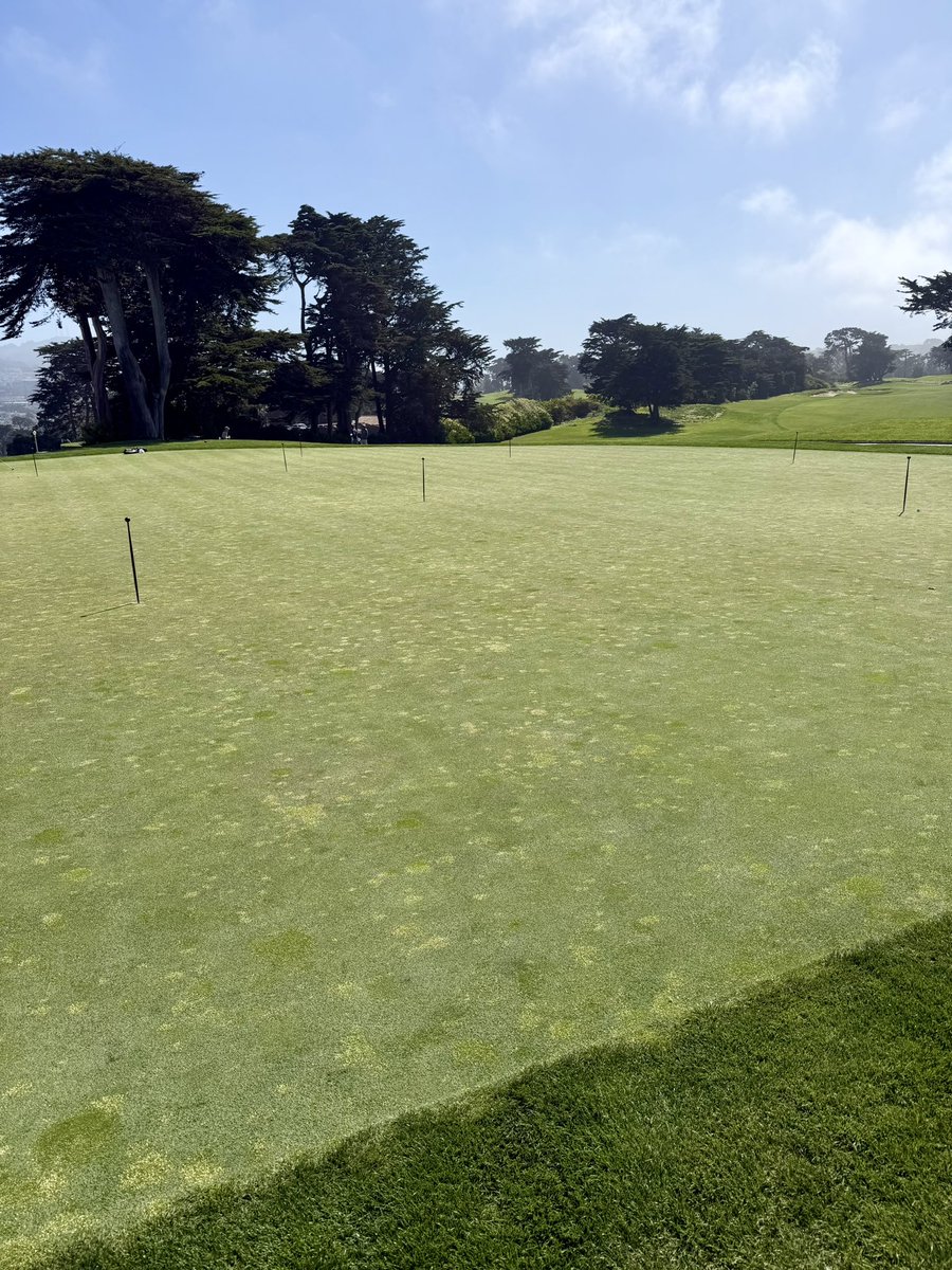 JStewgolf tweet media