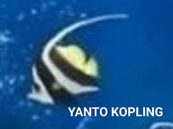 loen ⭑ lameloen @ cf22 tweet media