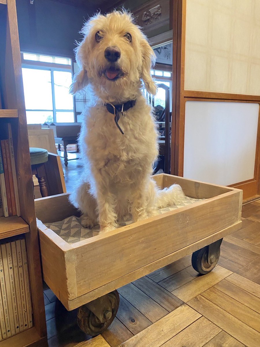 ウエダリョウコ tweet media