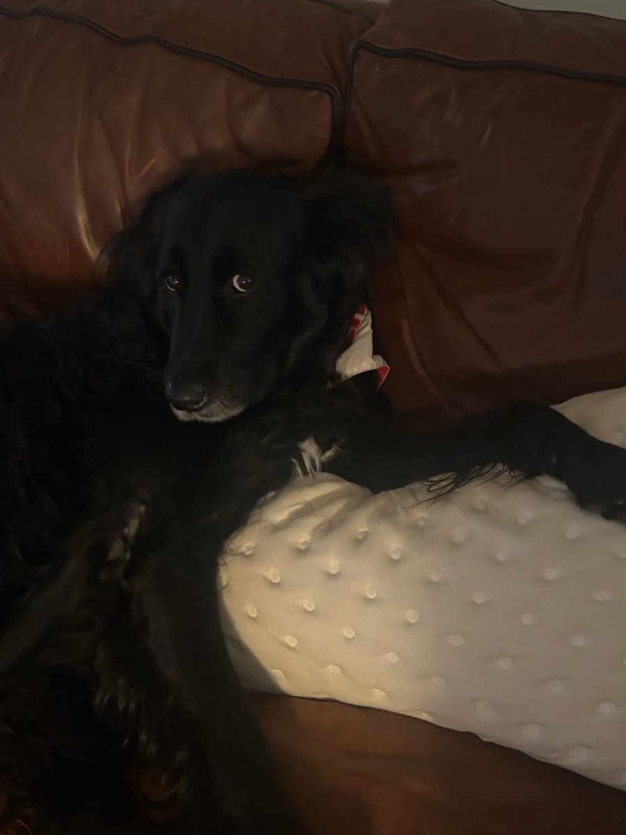 Matt Ravis tweet media