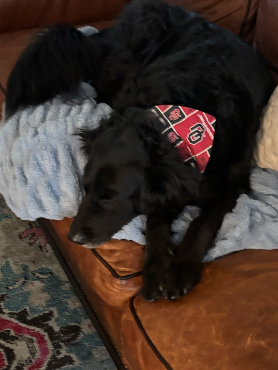 Matt Ravis tweet media