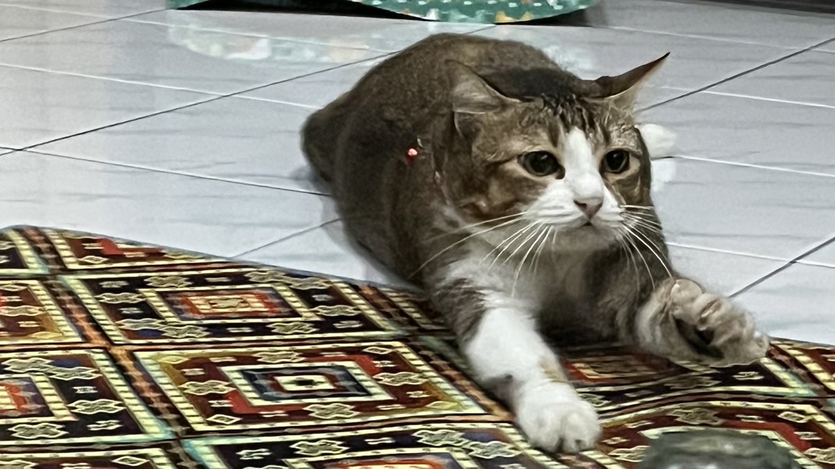 Ciyeng 🌻 tweet media