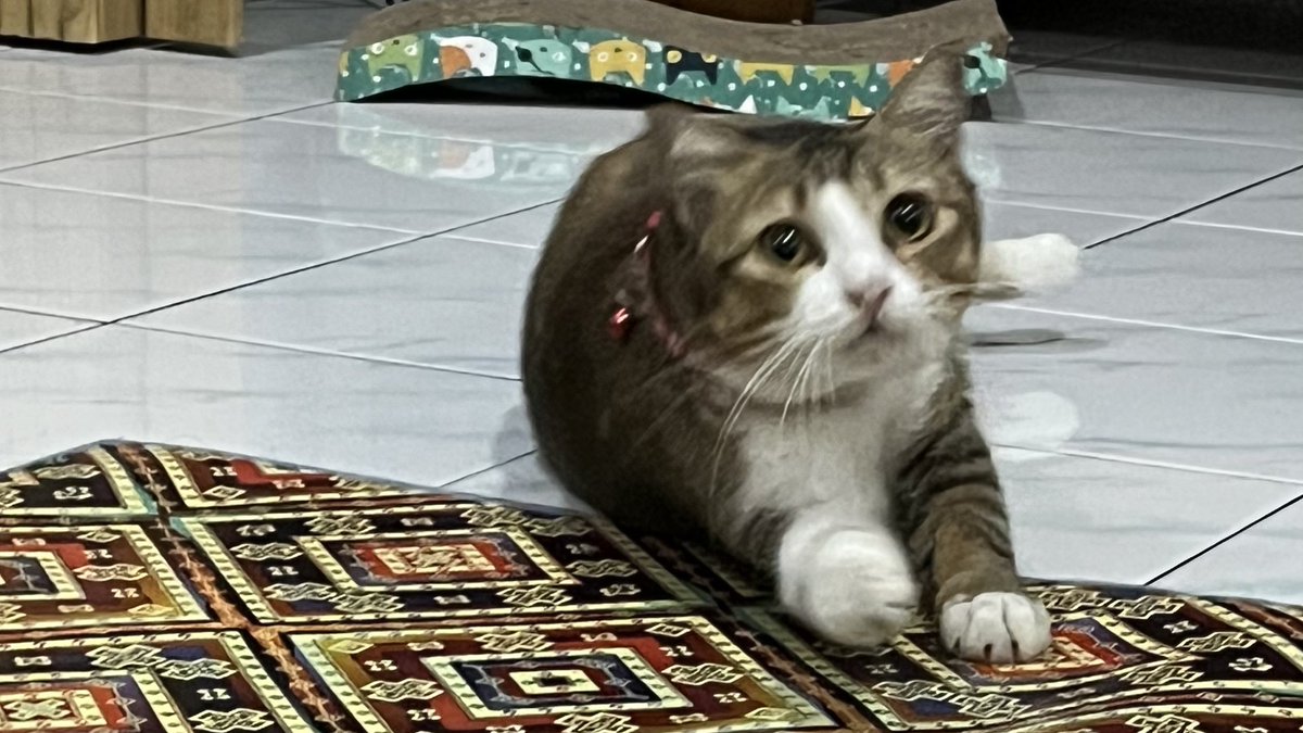 Ciyeng 🌻 tweet media