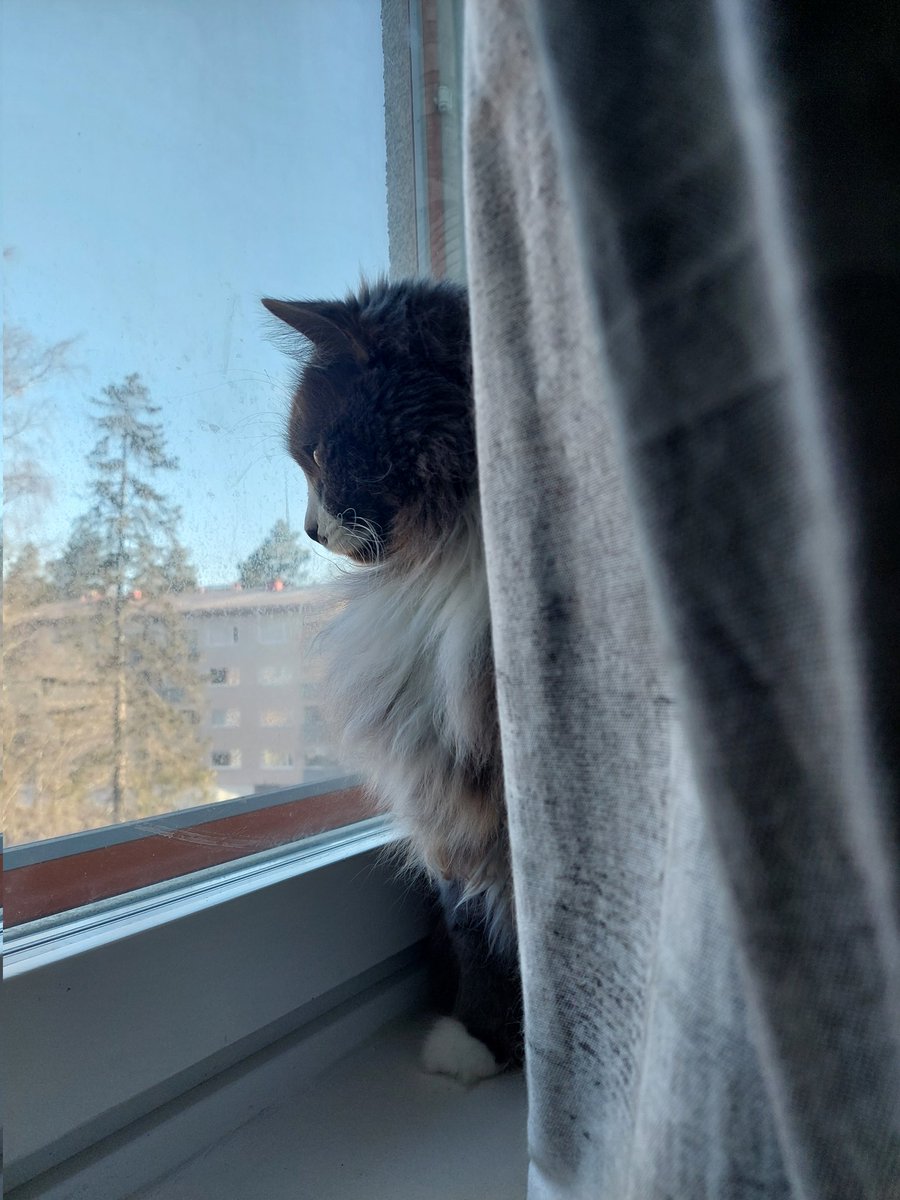 just a gentleman looking out of the window