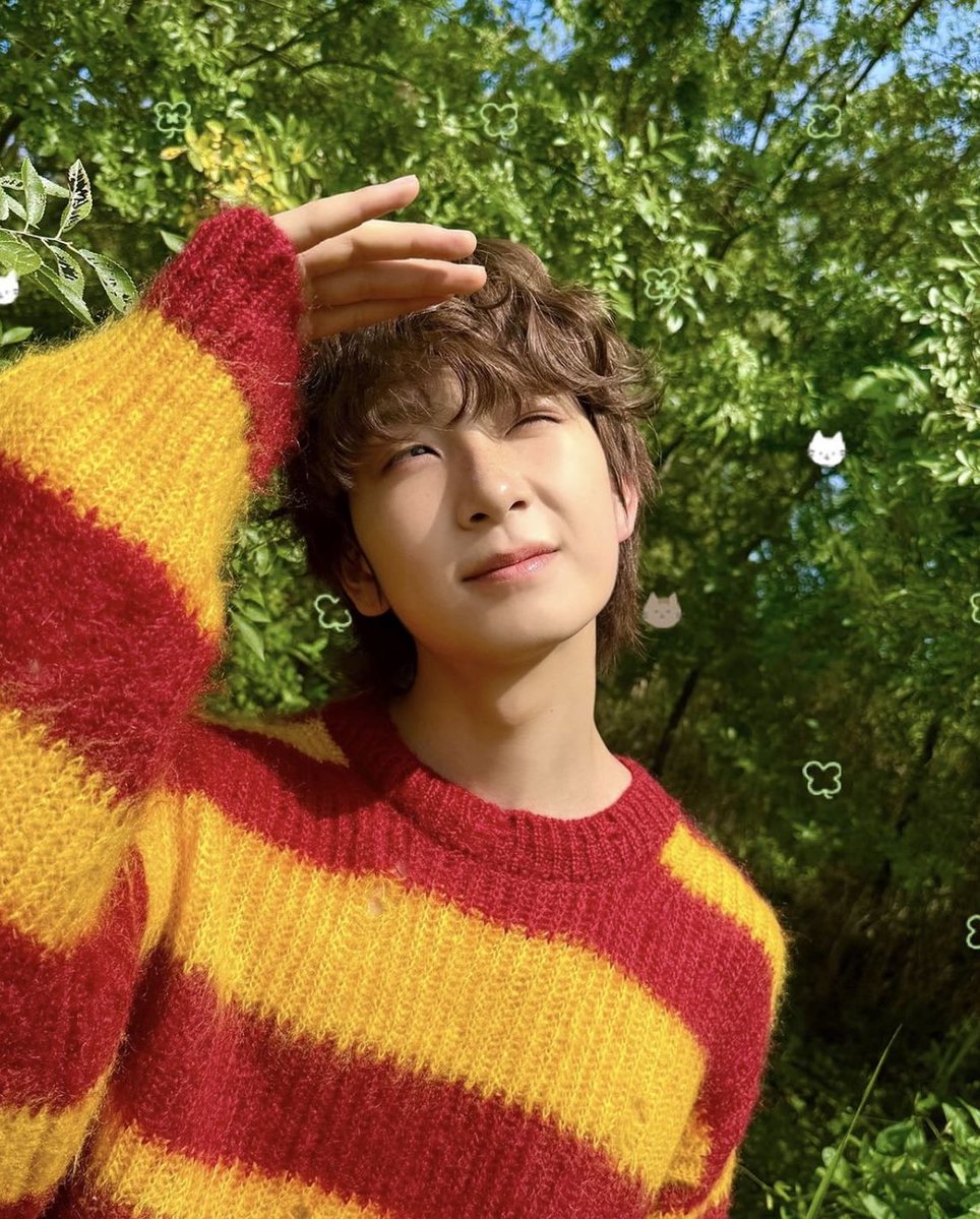 Bina • DEFINITION 4/8 ⋆⁺₊❅.‧₊˚ tweet media