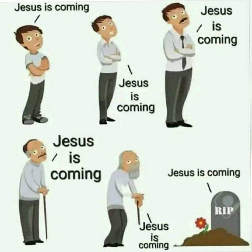 Scipio's Ghost tweet media