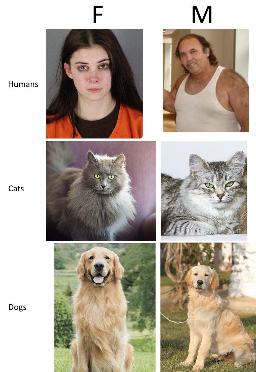 Anna Leigh (mostly on b sky) 🏳️‍⚧️ tweet media