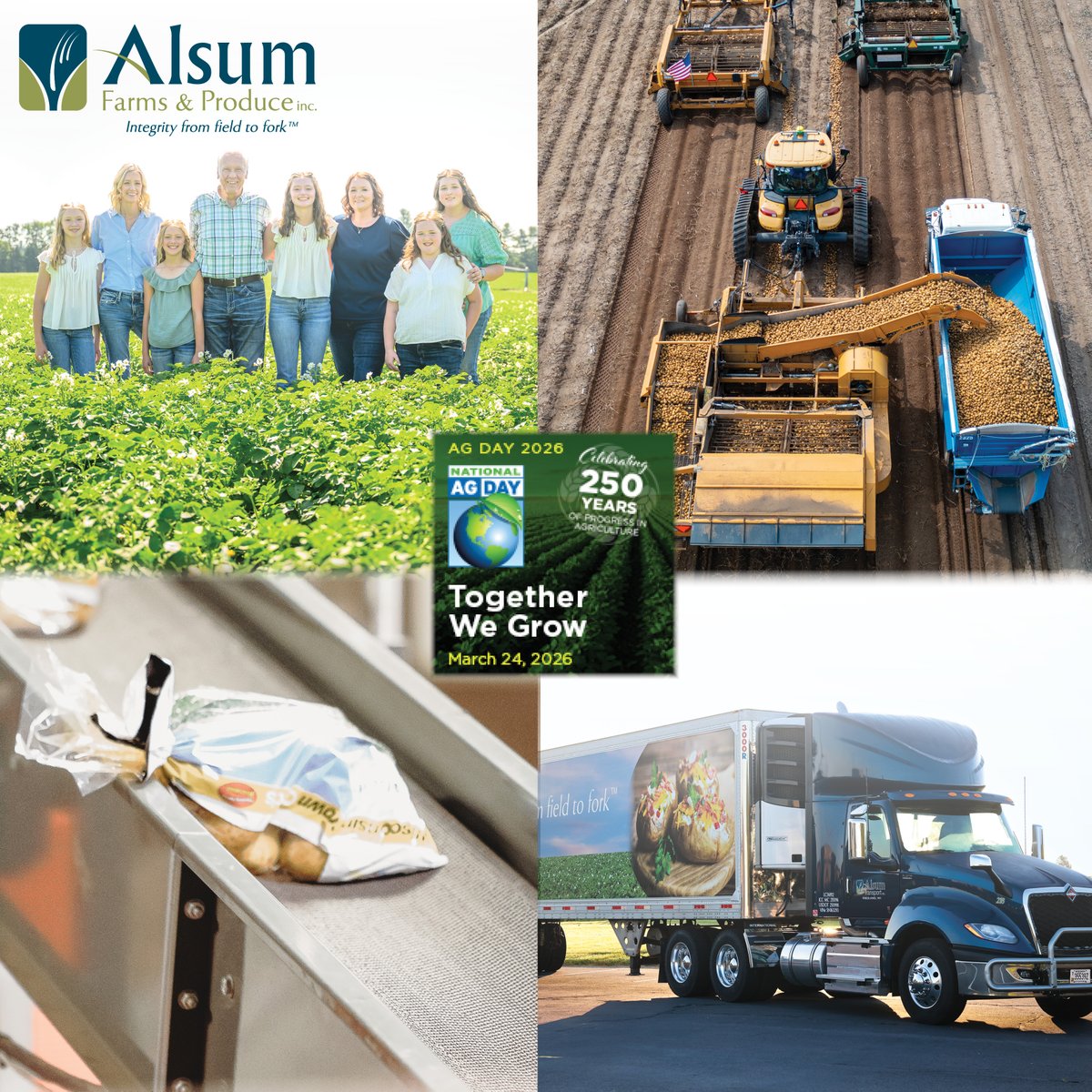 Alsum Farms & Produce tweet media