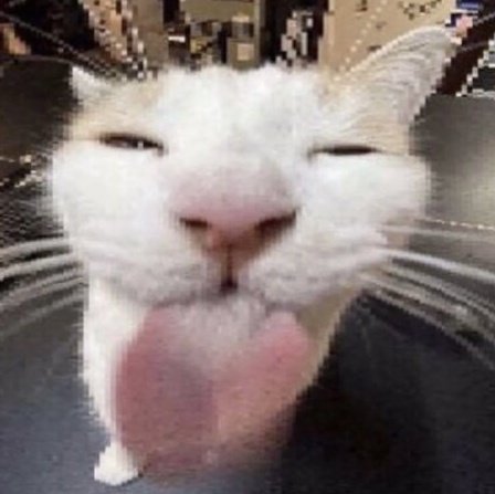 Vero 🏳️‍⚧️ tweet media