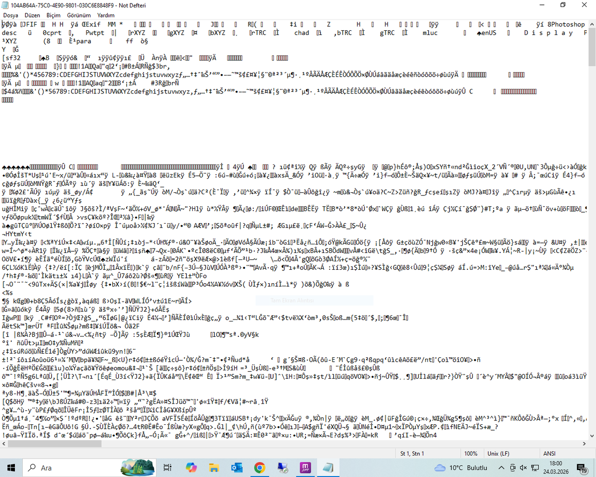 Aleyna Fişek tweet media