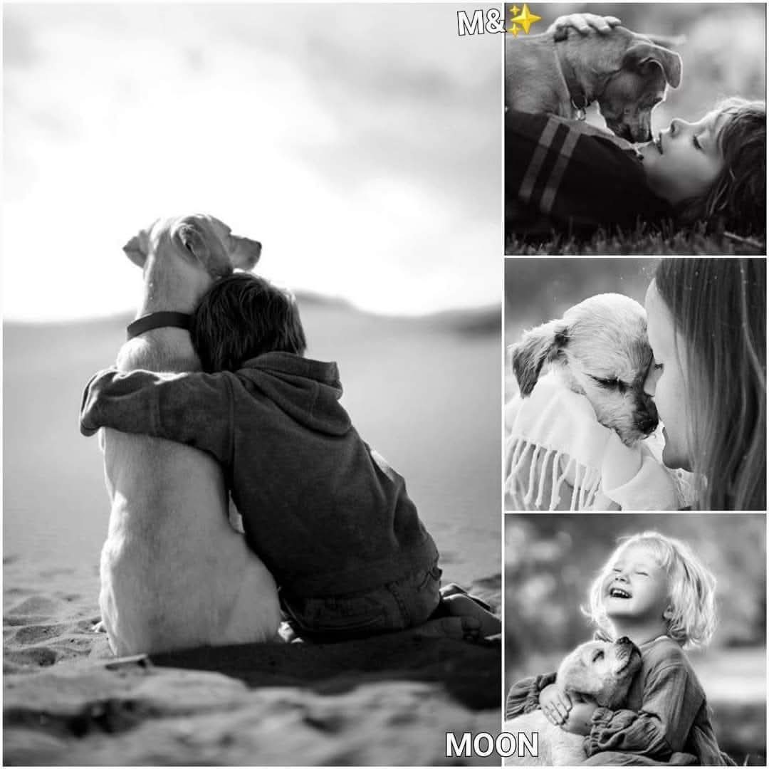 🦋🪷 ʂąr℘℘ą 🪷🦋 tweet media