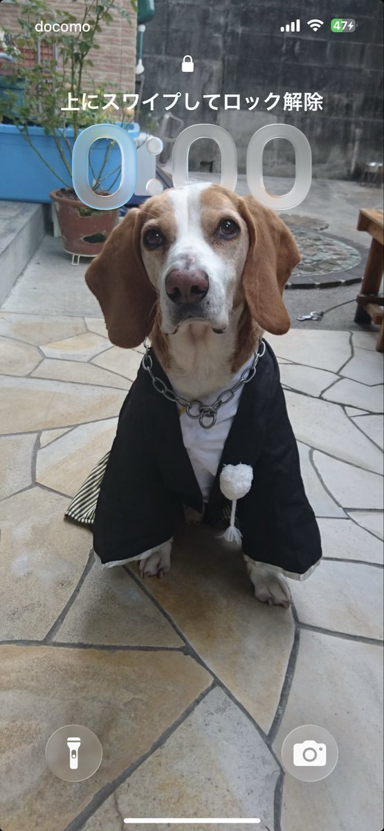 抹茶ラテ tweet media