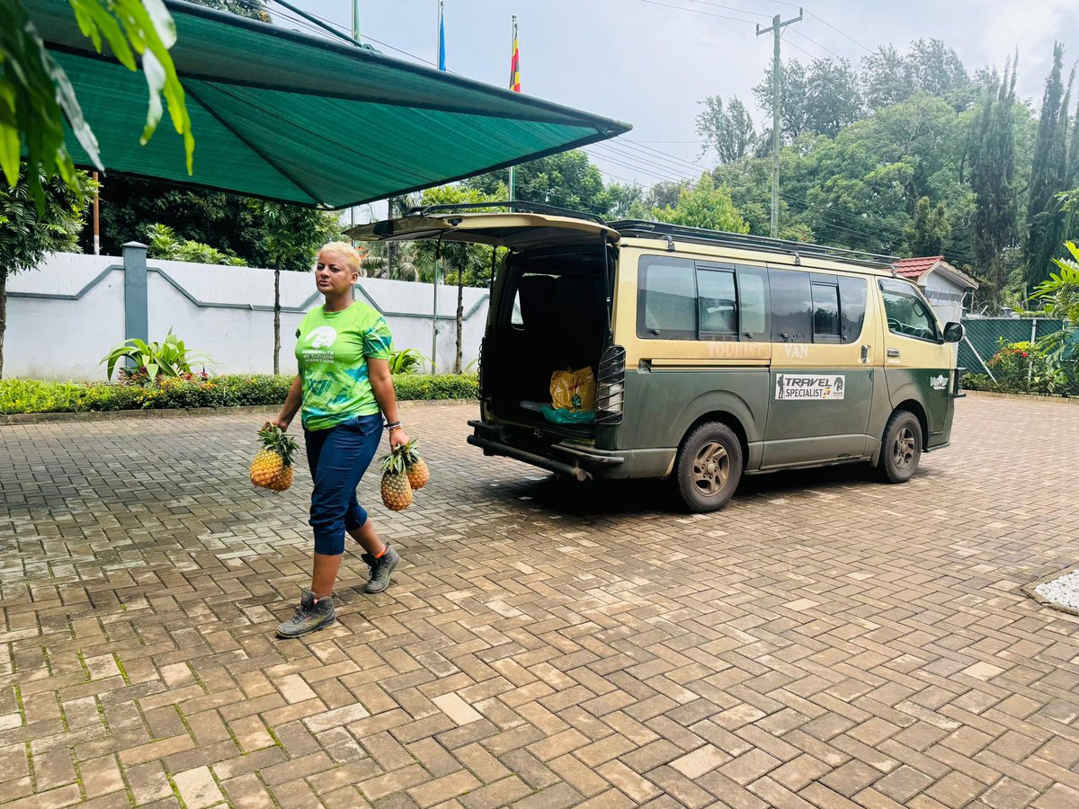 WasswaEmma_'s tweet photo. The Magical of Ugandan Fruits Love in Tanzania 🇹🇿

A must Read 👇 

During the Rwenzori Marathon activation at Kilimanjaro, we went the extra mile literally by carrying fresh Ugandan fruits all the way to Tanzania for the runners.

When @wekesa_amos called and asked me to source fruits from Kalerwe Market, I honestly wondered why we were transporting them over 900 kilometres, as if Tanzania didn’t have fruits of its own. It felt like a long journey for something we could easily find there.

But the moment of truth came after the race.
Watching runners refresh themselves with our fruits, seeing the smiles, and hearing Tanzanian locals praise their sweetness and freshness it all made sense. 

Some even admitted that our fruits tasted better and fresher than what they were used to.
That’s when it hit me: Uganda truly is a regional food hub in East Africa.

These are the moments that remind us of the power of culture, taste, and identity. Let’s continue to push Uganda’s culinary tourism to the world.
Sikyo @kaynelafarmsltd 🌍🍍🍉