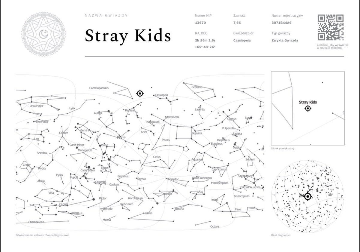 Stray Kids Poland tweet media