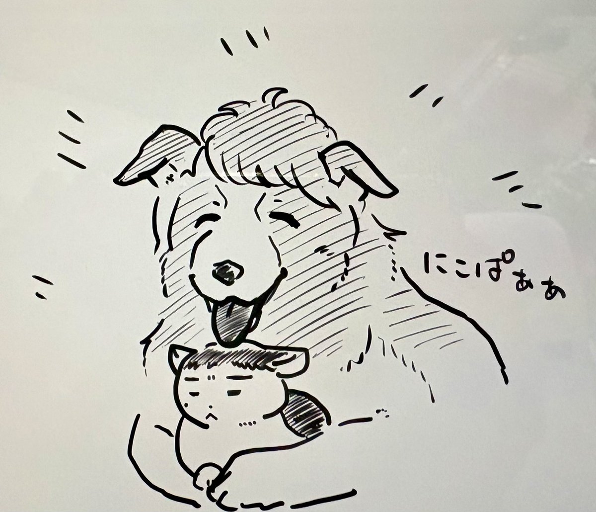 北犬はゴールデンレトリバーだろと思ってたけどボーダーコリーもありだな…垂れ耳…って思って描いた落書き。

ゆずが動物化してるのでワンクッション。 