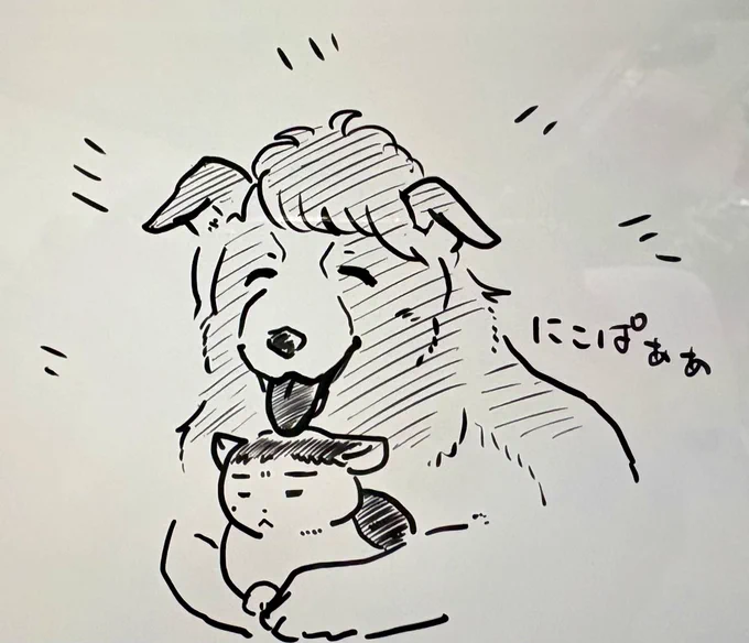 北犬はゴールデンレトリバーだろと思ってたけどボーダーコリーもありだな…垂れ耳…って思って描いた落書き。

ゆずが動物化してるのでワンクッション。 