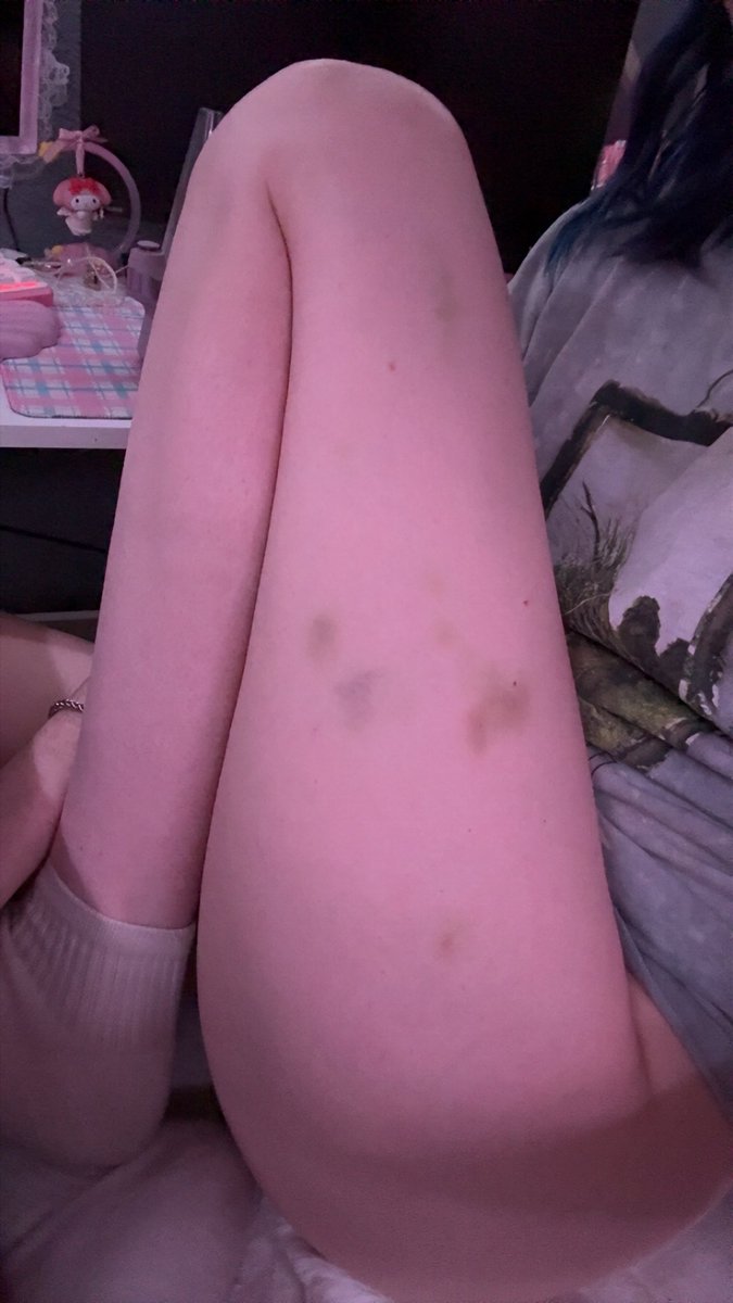 kiddie cat 🍼🐾 tweet media