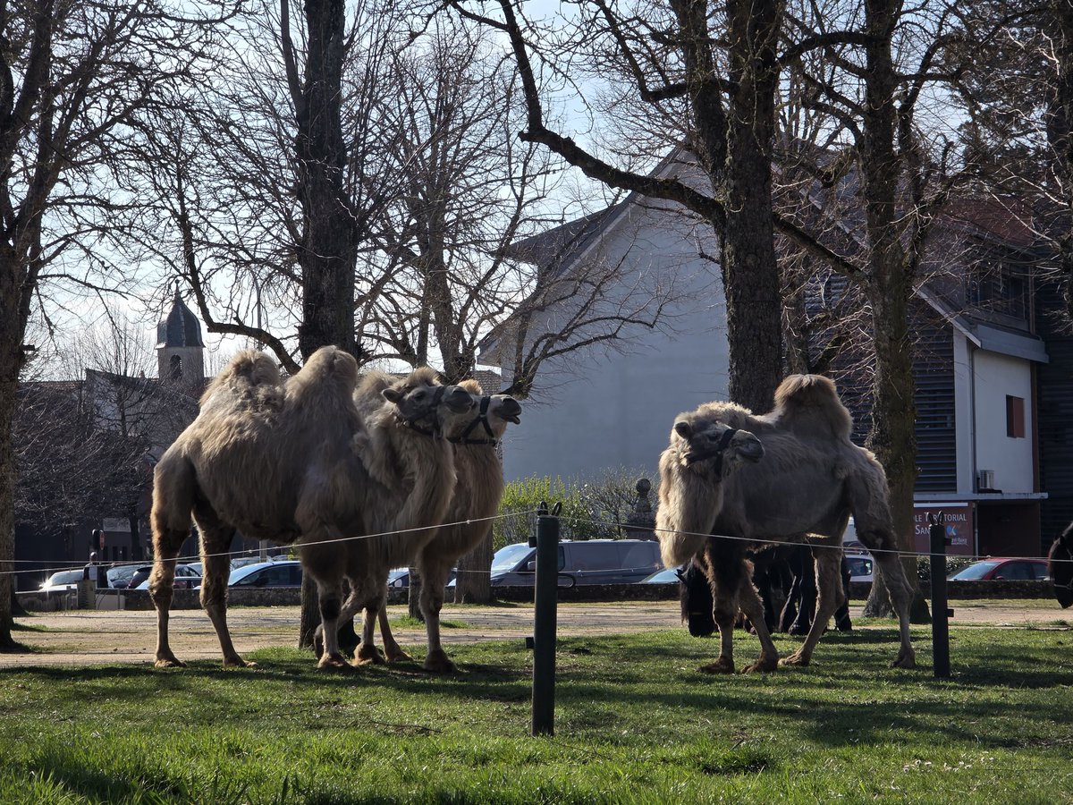 Henriane Jego 🧐🤪 tweet media