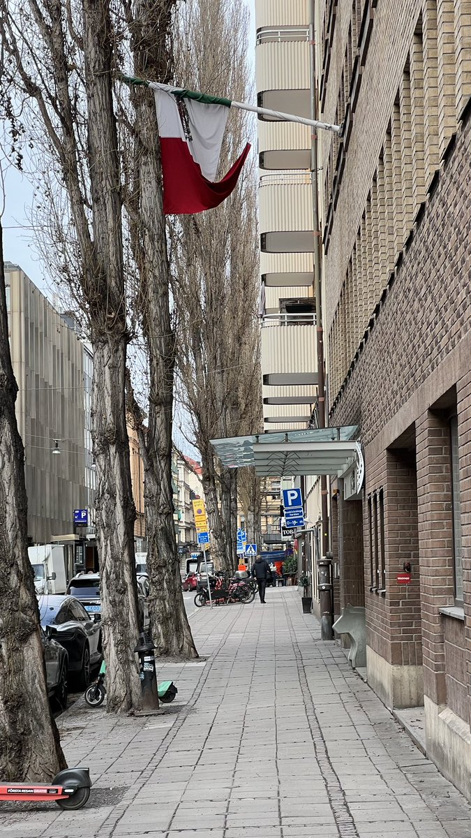 Azhar Al-Rubaie | أزهر الربيعي tweet media