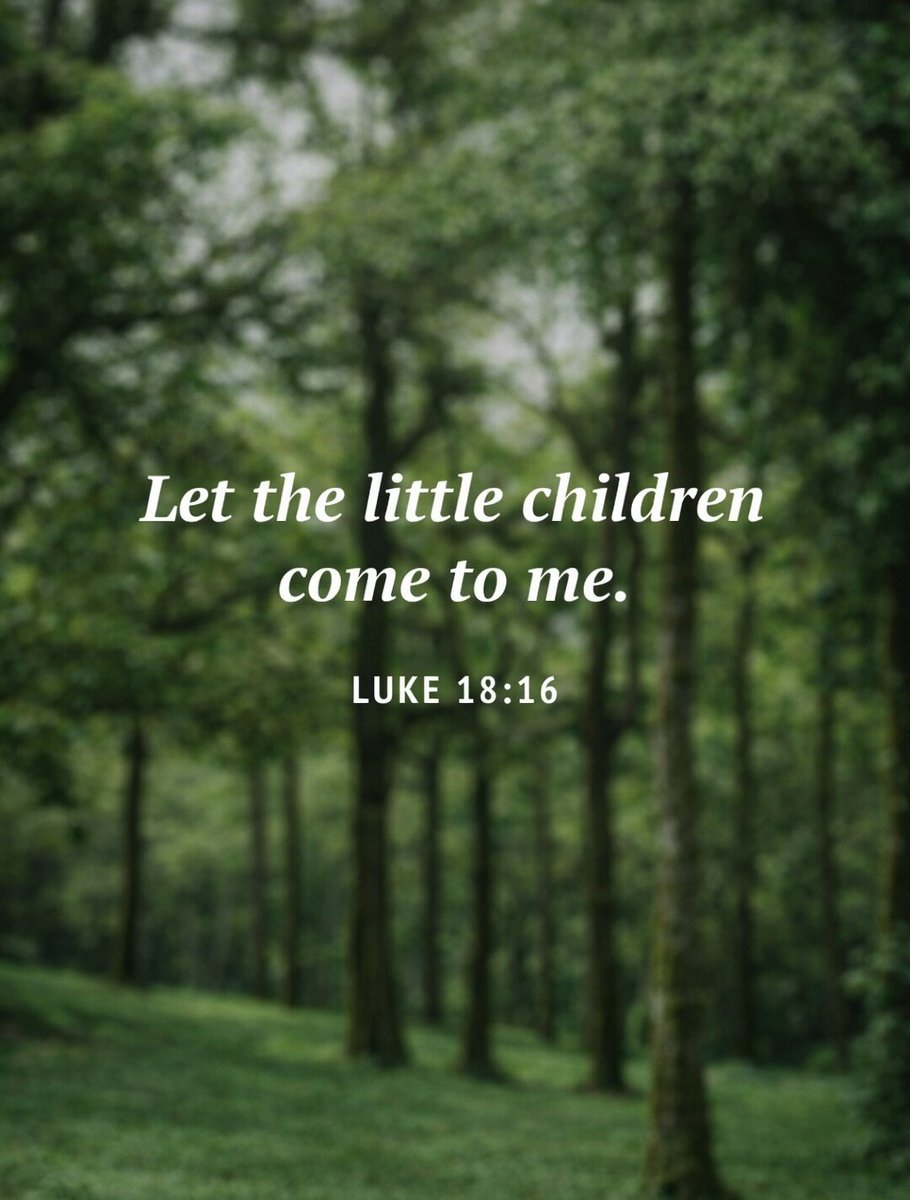 The Bible tweet media