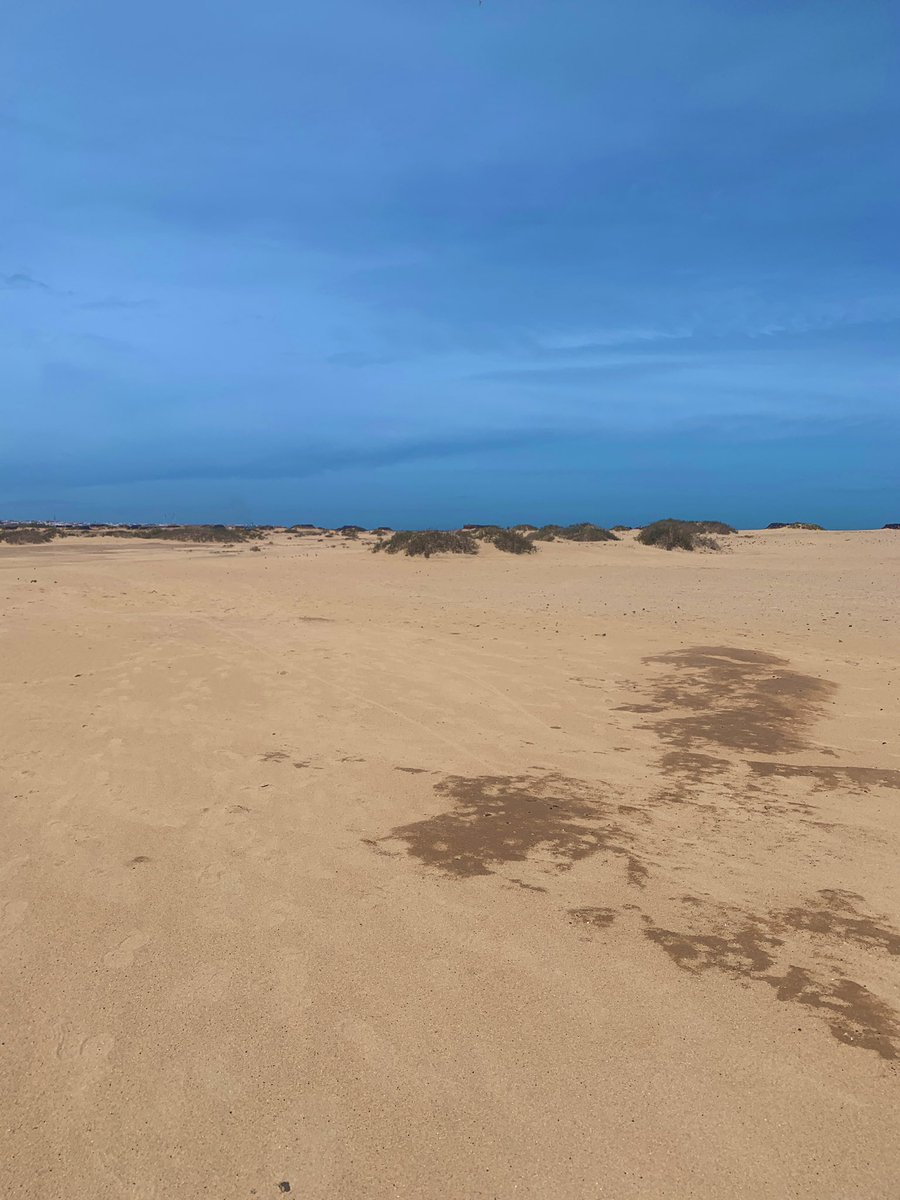 bobg611's tweet image. Hazy day but turned very pleasant. #corralejo #canaries #dunes