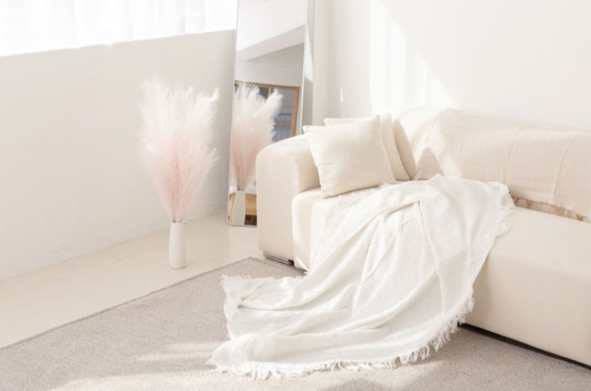 검백이📸 tweet media