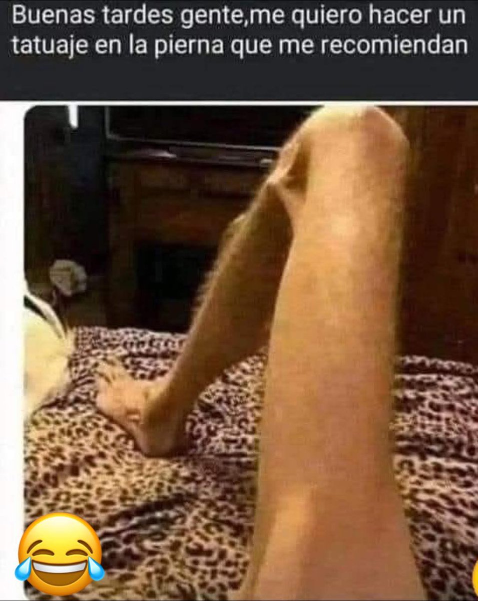 Jv El Rey Azul 👑 tweet media