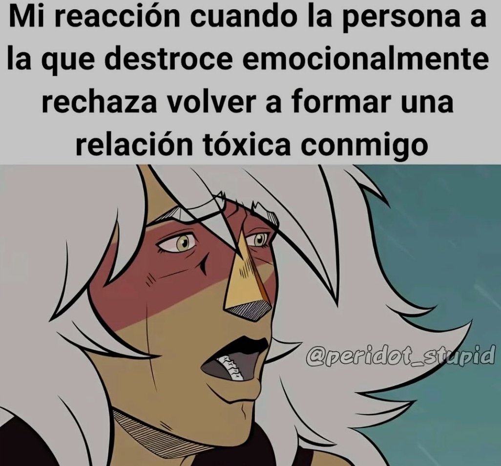 ✨Feidei✨ #ç tweet media